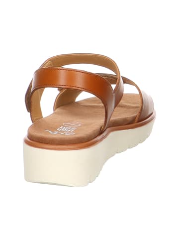 ara Komfort Sandalen für Damen in braun