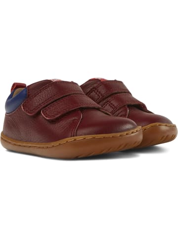 Camper Sneaker " Peu Cami " in Bordeaux