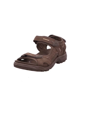 Ecco Outdoorsandalen Offroad in DARK CLAY