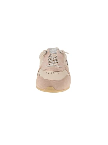 Cetti Sneaker low C-1379 SRA V26 in Beige