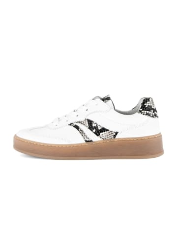 Gabor Sneaker low in multicolour
