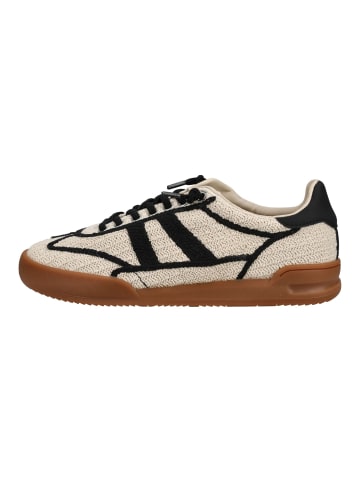 Steve Madden Sneaker in Beige/Schwarz