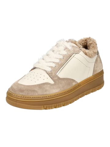 Paul Green Sneaker in Braun/Beige