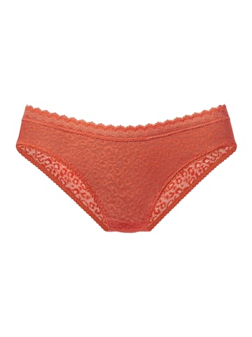 Vivance by Lascana Jazz-Pants-Slip in chili