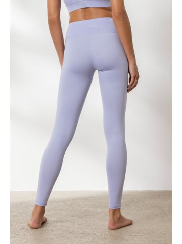 Hey Honey Leggings in blue
