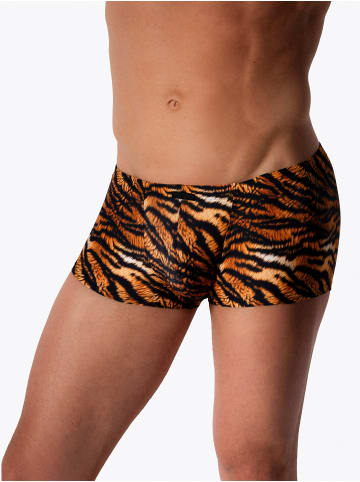 MANSTORE Boxer M2577 Micro Pants in tiger