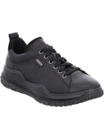 WESTLAND Sneaker Marla W04 in schwarz