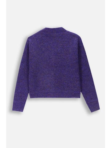 Coccodrillo Pullover mit Reißverschluss in violett