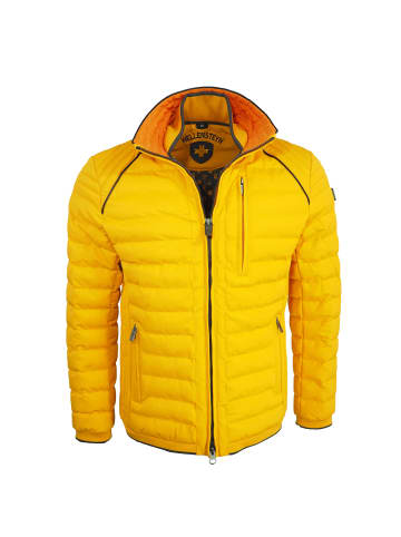 Wellensteyn Steppjacke Mol Men in Saffron