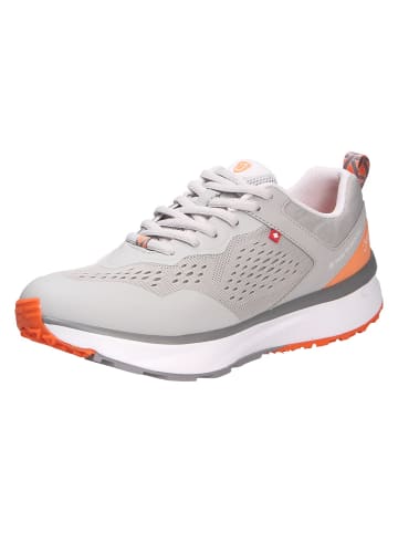 Joya Schnürschuh VELOCE W LIGHT GREY in grau