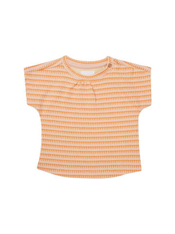 Noppies T-Shirt Mowbray in Check pattern Orange