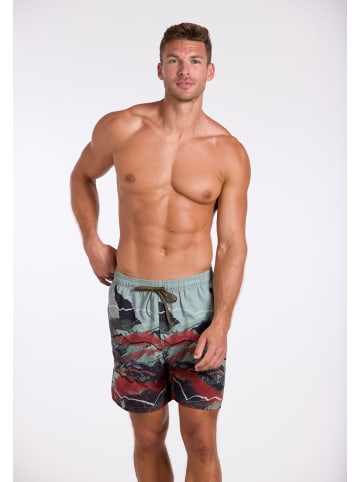 wavebreaker Shorts in grün