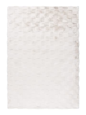 Vivorum Vivorum Wohnzimmer Kurzflor Teppich Solution 125 creme in creme
