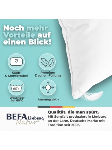 Befa Daunenkissen 90 % Daunen (2 Stück) in Weiß