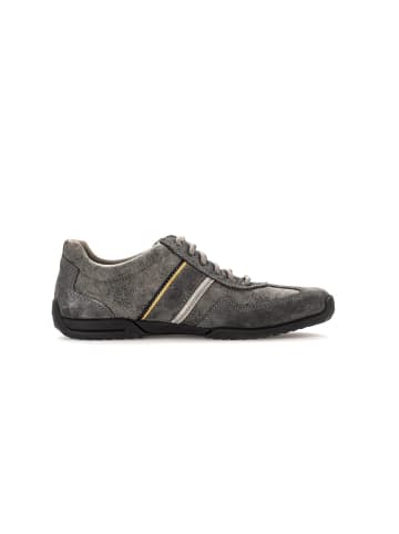 Pius Gabor Sneaker low in grau