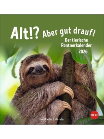 Heye Kalender Kalender - Alt! Aber gut drauf Postkartenkalender 2026 - Der tierische Rentnerk