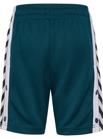 Hummel Short "Chevron Shorts" in Blau