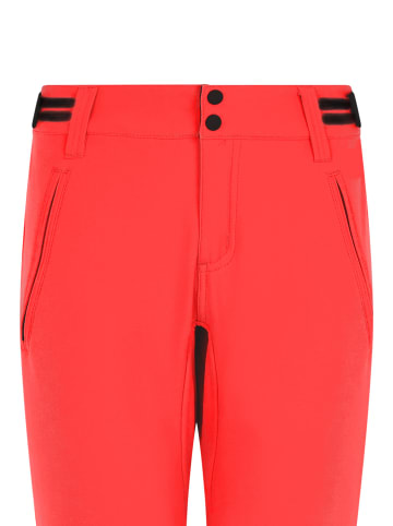 Protest " PRTRELOLE in Poppy Red