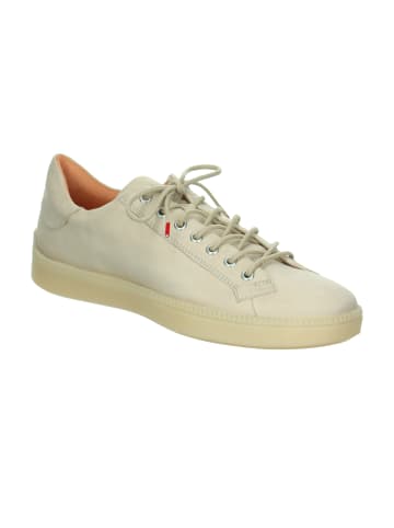 Think! Sneakers Low TURNA HE. in Panna