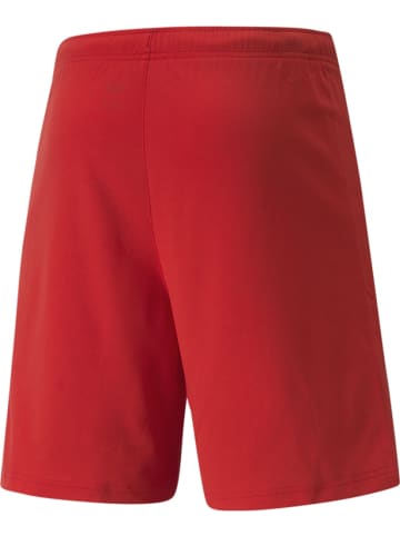 Puma Sporthose "TeamRISE Short" in Rot