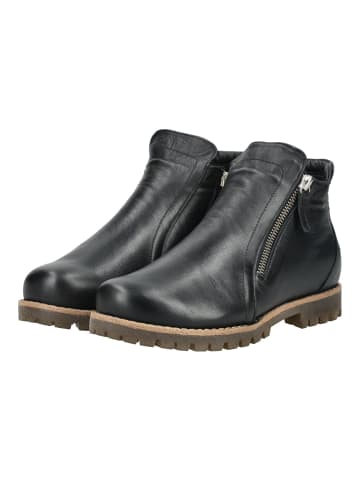 Andrea Conti Stiefelette in Schwarz/Braun