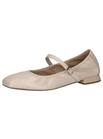 Caprice Ballerinas grau