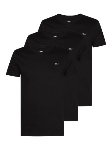 Petrol Industries 3-er Pack T-Shirt  in Schwarz