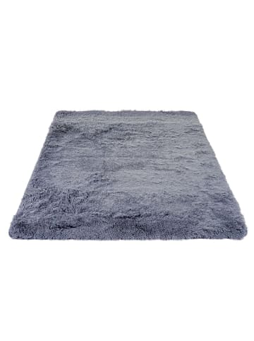 MCW Hochflor-Teppich F69, Grau