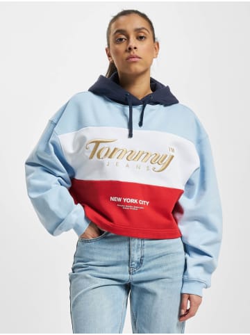 TOMMY JEANS Hoodie in colored