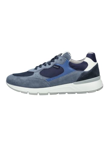 Nero Giardini Sneaker in Blau