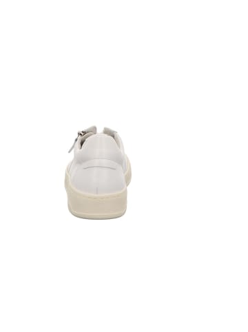 Gabor Sneaker in weiss/panna