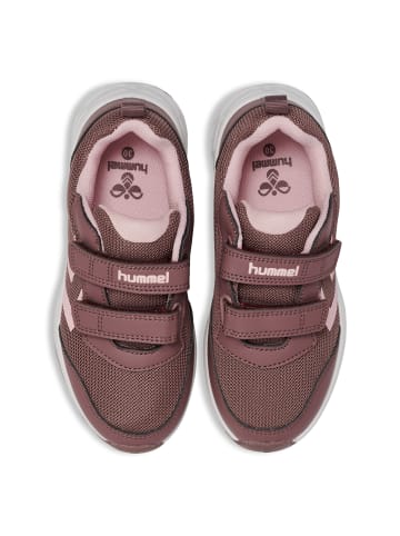 Hummel Klettverschluss Sneaker Turbo Run Lebensstil Kinder in TWILIGHT MAUVE/TWILIGHT MAUVE