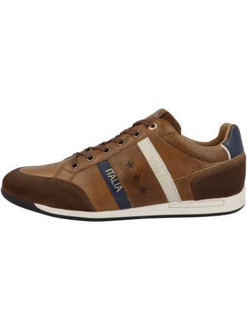 Pantofola D'Oro Sneaker low Olbia Uomo Low in braun