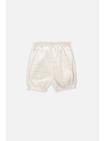 Coccodrillo Kurze Hose in ecru