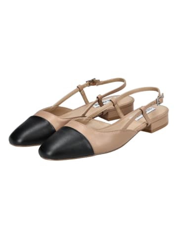 Steve Madden Ballerinas in Tan