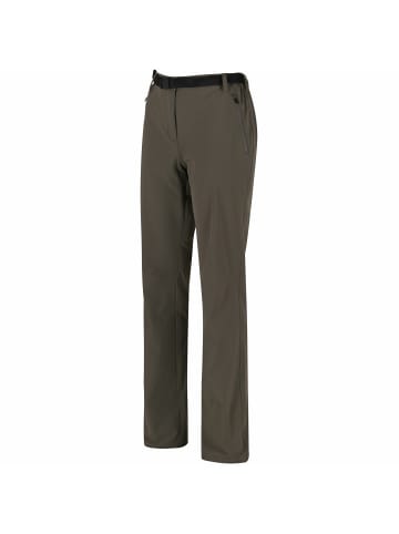 Regatta Wanderhose Xert II in Roasted