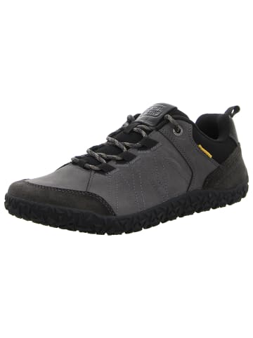 Camel Active Schnürschuhe in grau