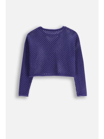 Coccodrillo Strickpullover in blau
