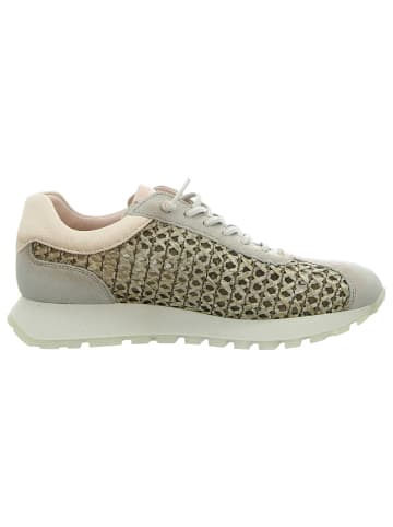 Hispanitas Sneaker Low in grün