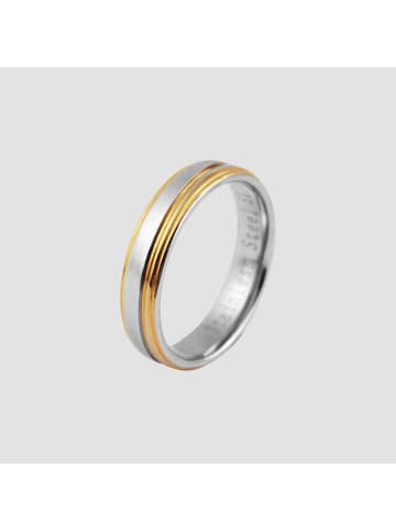 Adeliás Herren Ring aus Edelstahl in silber