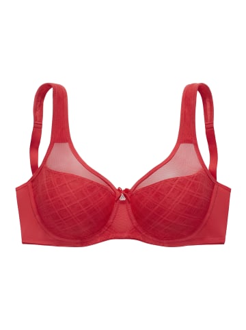 nuance Minimizer-BH in rot