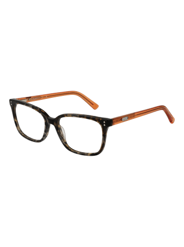 Pepe Jeans Damen Optische Fassungen Rechteck Braun