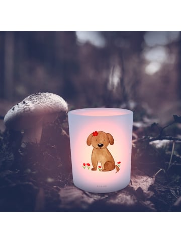 Mr. & Mrs. Panda Windlicht aus Glas Hund Dame ohne Spruch in Transparent