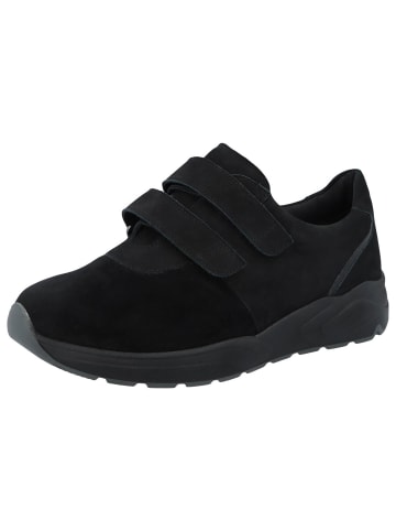 Solidus Sneaker in schwarz