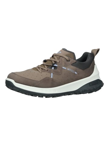 Ecco Sneaker in Taupe