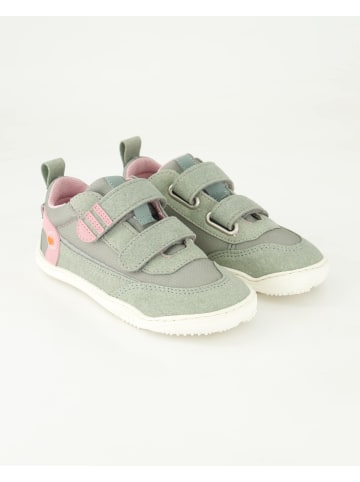 qnuffs Barfußschuhe in Grün