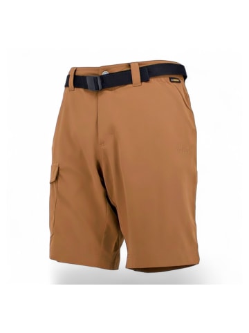 Jack Wolfskin Shorts Hoggar in Braun