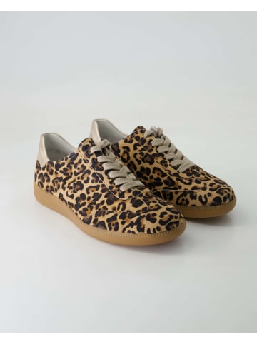 Semler Sneaker low in Braun