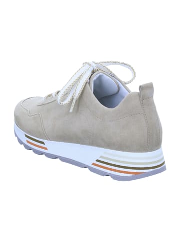Semler Komfort Schnürschuhe in Beige