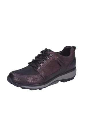 Xsensible Komfort Schnürschuhe in Braun